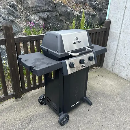 Ved Sjoen I Idylliske *